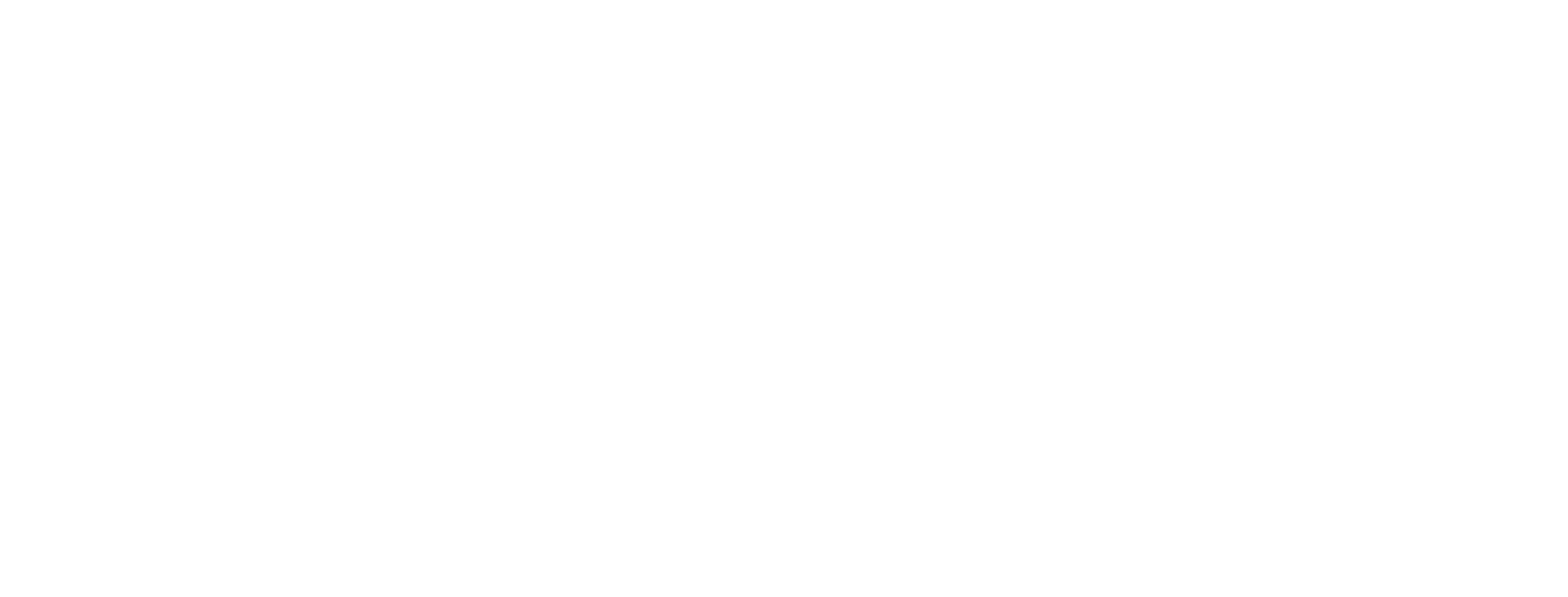 evy4style LOGO